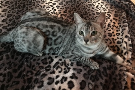 Entry image for Emi. Clicking this image will show a larger photo