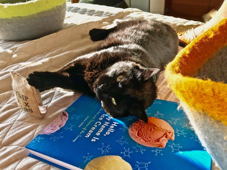 Entry image for Anette. Clicking this image will show a larger photo