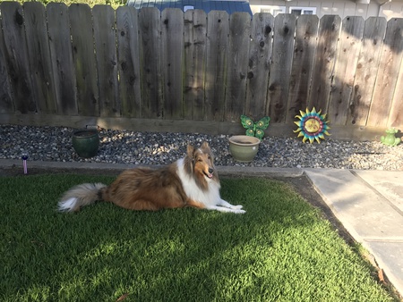 Entry image for Caruso. Clicking this image will show a larger photo