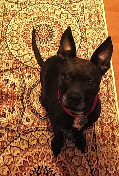 Leela