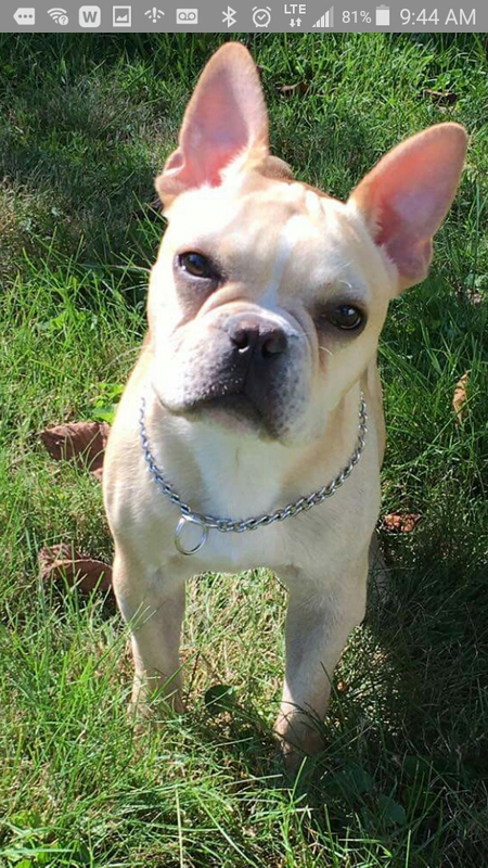 WINSTON