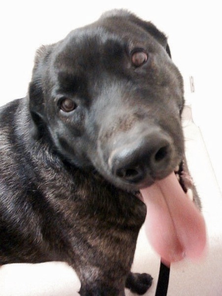 Rosco