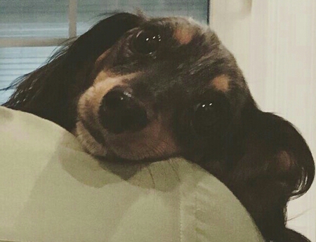 Penny