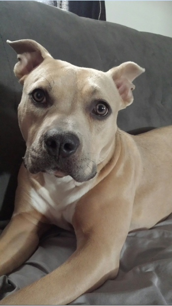 Daisy