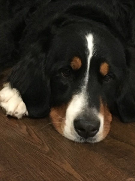 NORA