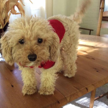 Little Winifred