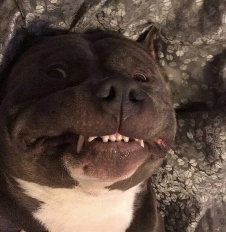Bane