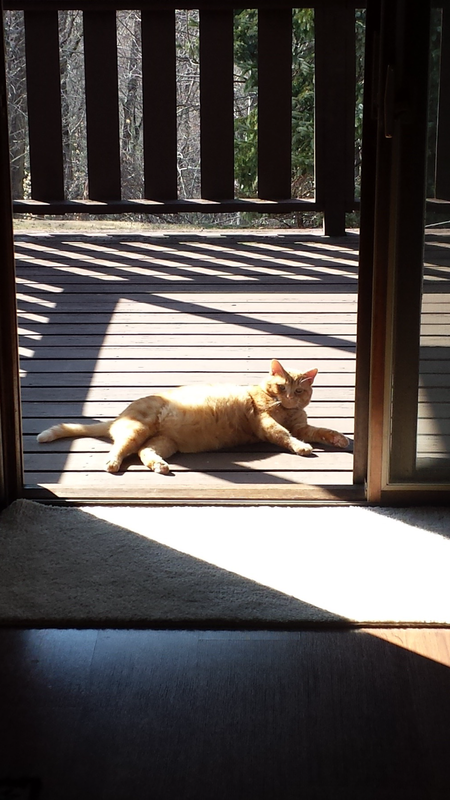 Reddington