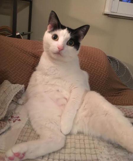 Pixel