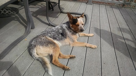 Matilda