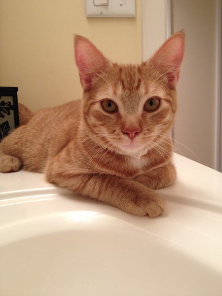 Oliver