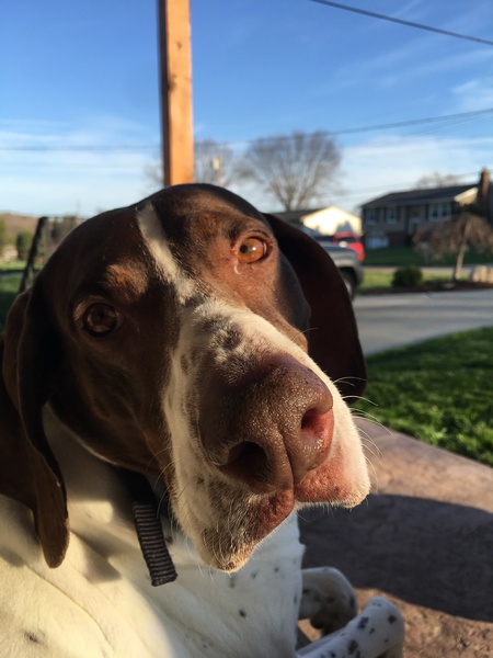 Murphy