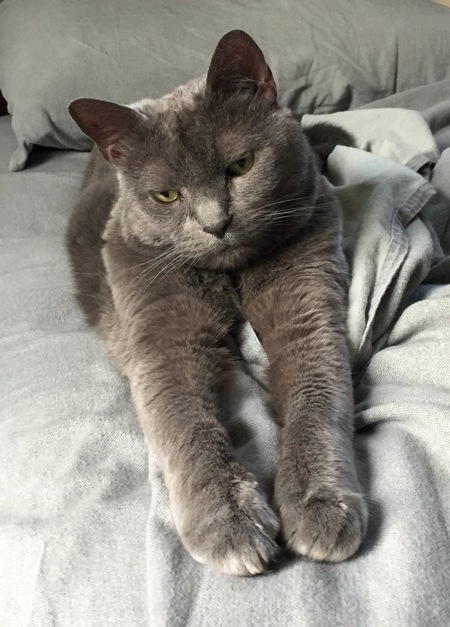 Murphy