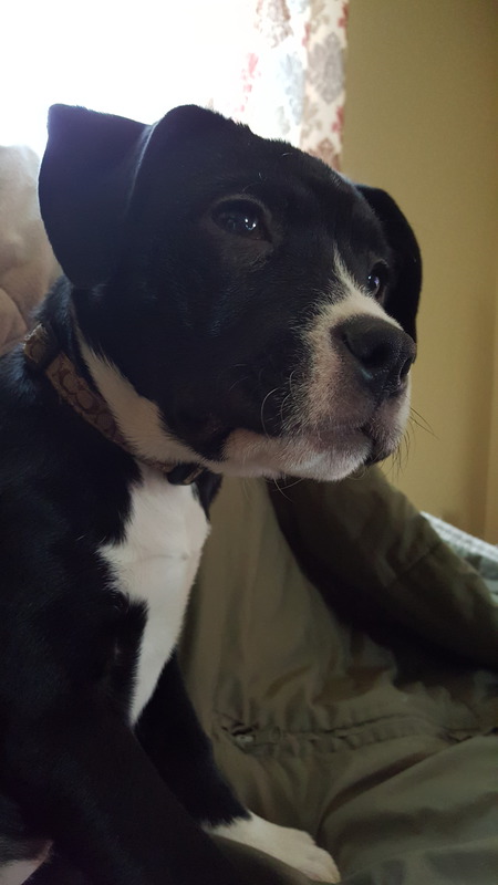 Bella