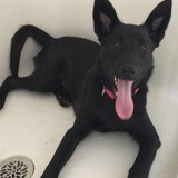 Entry image for Kaia