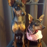 Entry image for Spike & Zoey