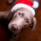 Entry image for Kyah