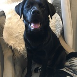 Entry image for Beans Olynyk