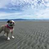 Entry image for Nora