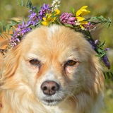 Entry image for Brandi 