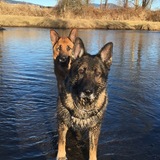 Entry image for Zeus and Thor