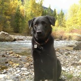 Entry image for Wesson 