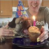 Entry image for Chloe