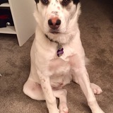 Entry image for Jersey