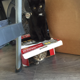 Entry image for Spooky & Mojo