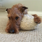 Entry image for Griffyn 