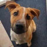 Entry image for Murphy