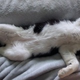 Entry image for Hunter