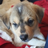 Entry image for LUCKY