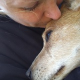 Entry image for Mikal