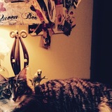 Entry image for Princess Merida