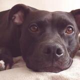 Entry image for Zara