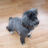 Entry image for Hulky