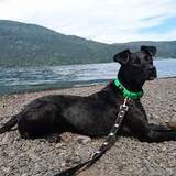 Entry image for Dallas