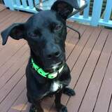 Entry image for Dallas