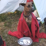 Entry image for Lucky