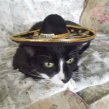 Entry image for Wellington BOOTS