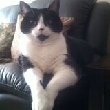 Entry image for Mercedes