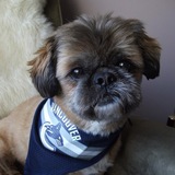 Entry image for Oliver 