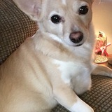 Entry image for Luna