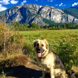 Entry image for Atlas