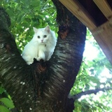 Entry image for Betty white