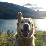 Entry image for O.D.