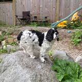 Entry image for Jack