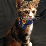 Entry image for Zoey