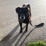 Entry image for Sealy